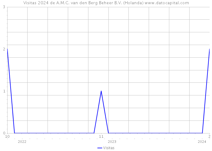 Visitas 2024 de A.M.C. van den Berg Beheer B.V. (Holanda) 