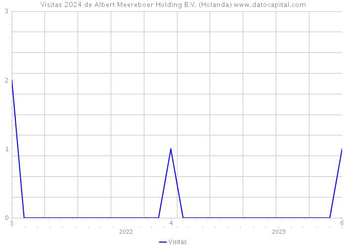 Visitas 2024 de Albert Meereboer Holding B.V. (Holanda) 