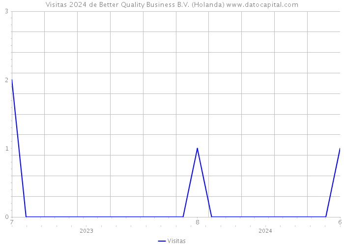 Visitas 2024 de Better Quality Business B.V. (Holanda) 
