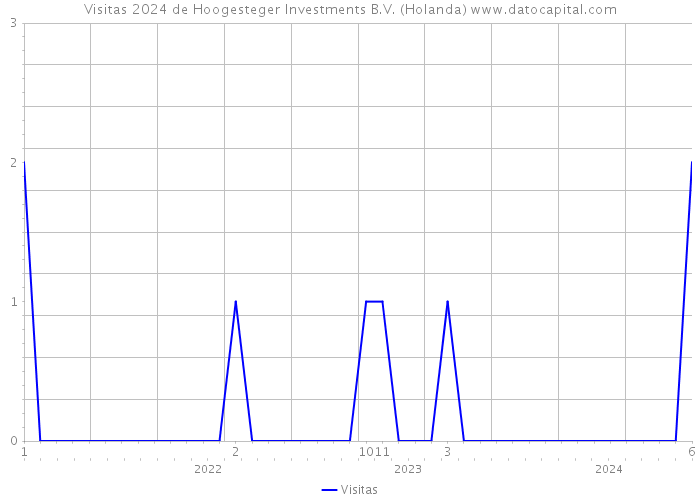Visitas 2024 de Hoogesteger Investments B.V. (Holanda) 