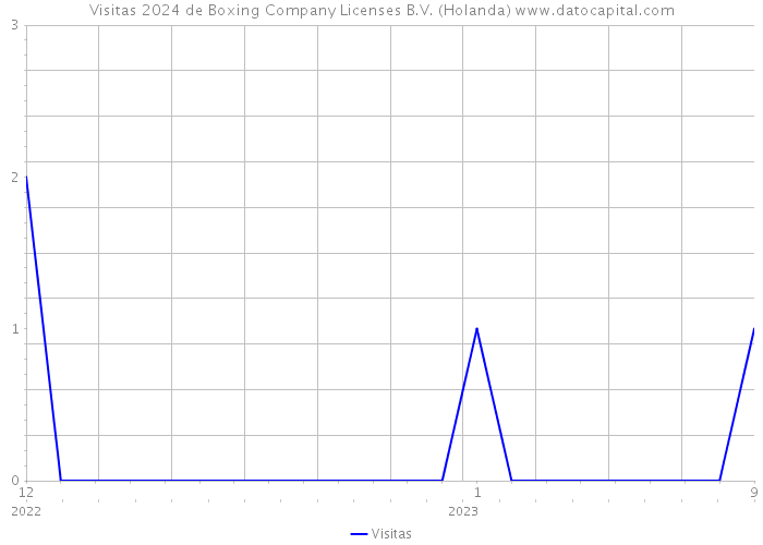 Visitas 2024 de Boxing Company Licenses B.V. (Holanda) 