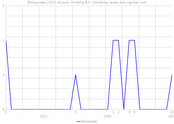 Búsquedas 2024 de Juno Holding B.V. (Holanda) 