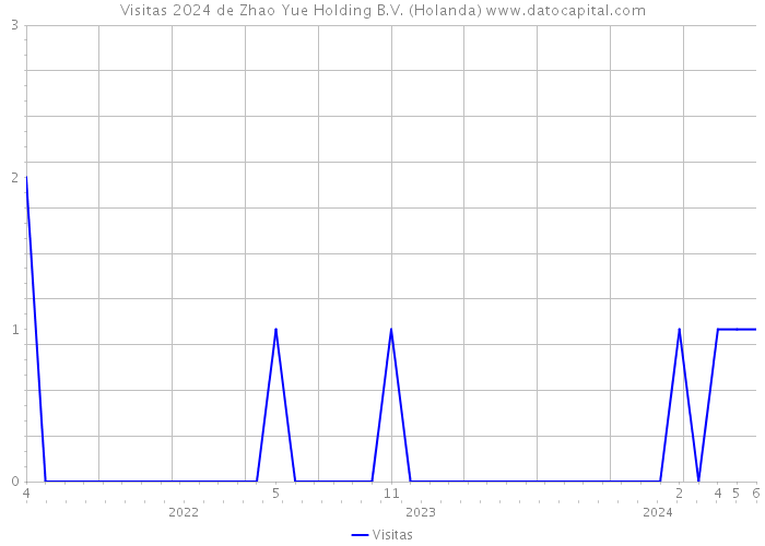 Visitas 2024 de Zhao Yue Holding B.V. (Holanda) 