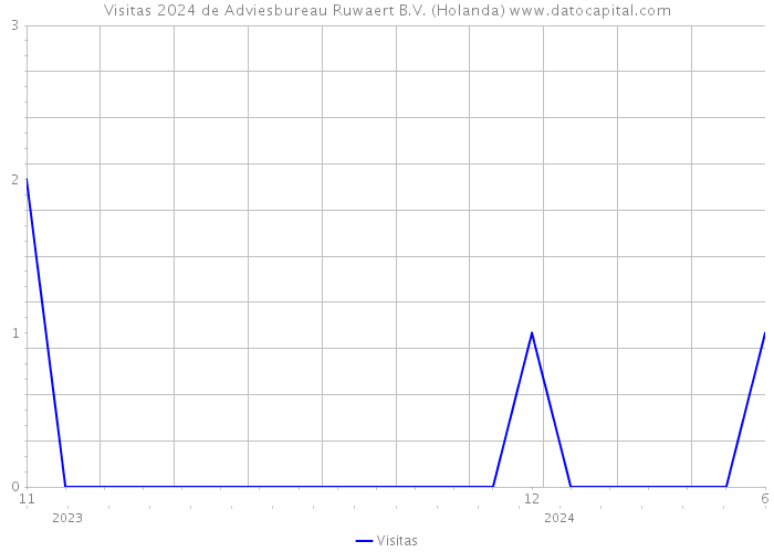 Visitas 2024 de Adviesbureau Ruwaert B.V. (Holanda) 