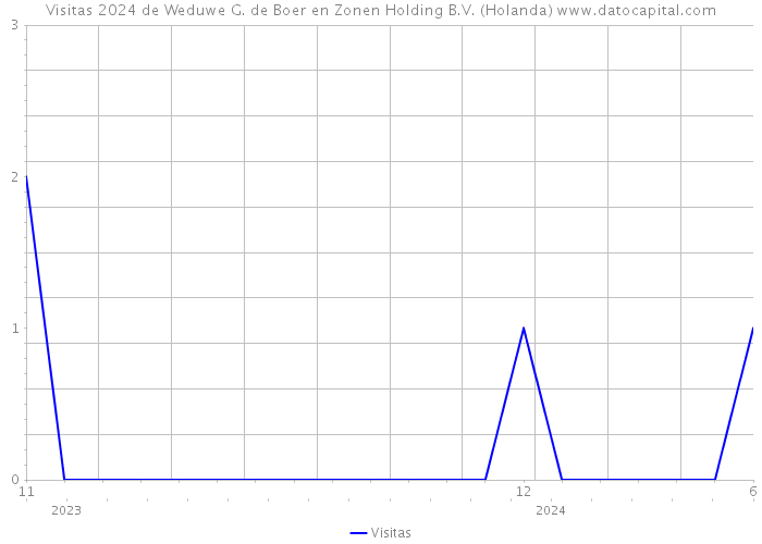 Visitas 2024 de Weduwe G. de Boer en Zonen Holding B.V. (Holanda) 