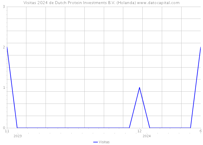 Visitas 2024 de Dutch Protein Investments B.V. (Holanda) 