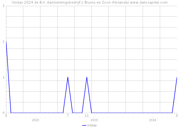 Visitas 2024 de B.V. Aannemingsbedrijf J. Bruins en Zoon (Holanda) 