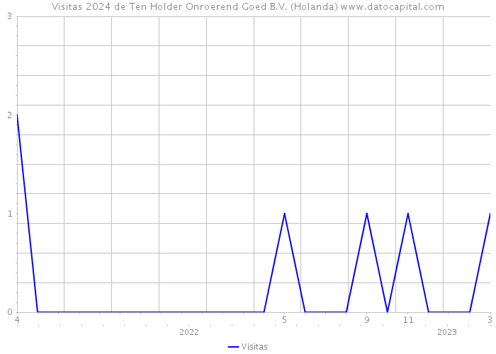 Visitas 2024 de Ten Holder Onroerend Goed B.V. (Holanda) 