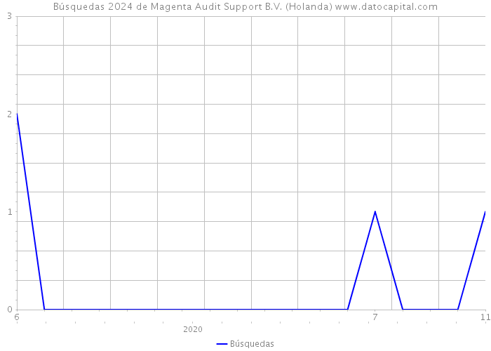 Búsquedas 2024 de Magenta Audit Support B.V. (Holanda) 