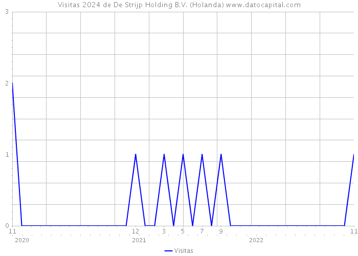 Visitas 2024 de De Strijp Holding B.V. (Holanda) 