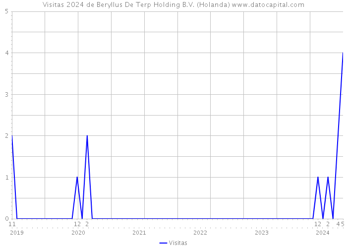 Visitas 2024 de Beryllus De Terp Holding B.V. (Holanda) 