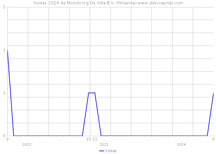 Visitas 2024 de Mondzorg De Villa B.V. (Holanda) 