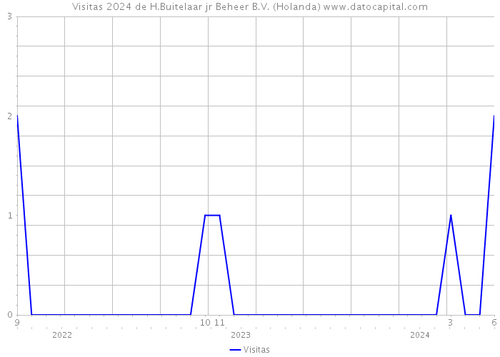 Visitas 2024 de H.Buitelaar jr Beheer B.V. (Holanda) 