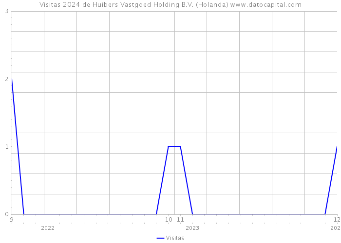 Visitas 2024 de Huibers Vastgoed Holding B.V. (Holanda) 