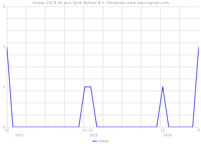 Visitas 2024 de Jaco Spek Beheer B.V. (Holanda) 