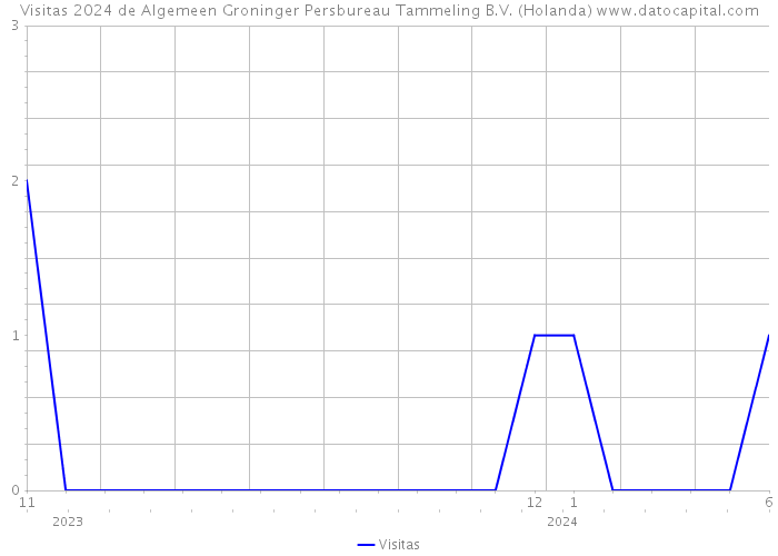 Visitas 2024 de Algemeen Groninger Persbureau Tammeling B.V. (Holanda) 