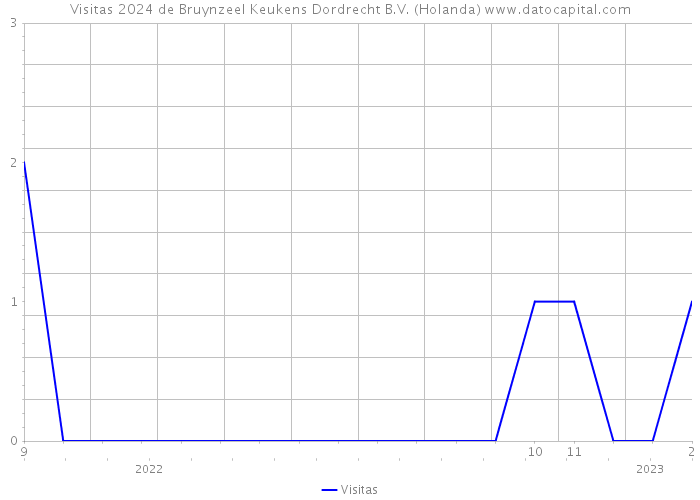 Visitas 2024 de Bruynzeel Keukens Dordrecht B.V. (Holanda) 