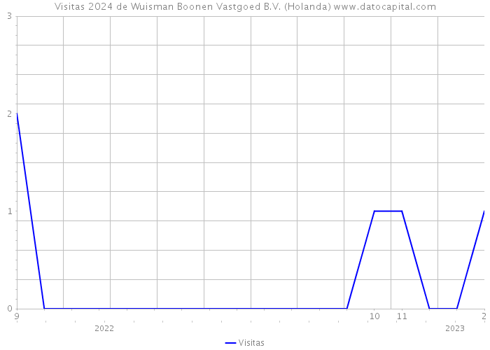 Visitas 2024 de Wuisman Boonen Vastgoed B.V. (Holanda) 