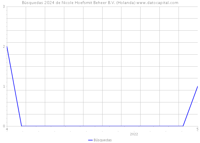 Búsquedas 2024 de Nicole Hoefsmit Beheer B.V. (Holanda) 