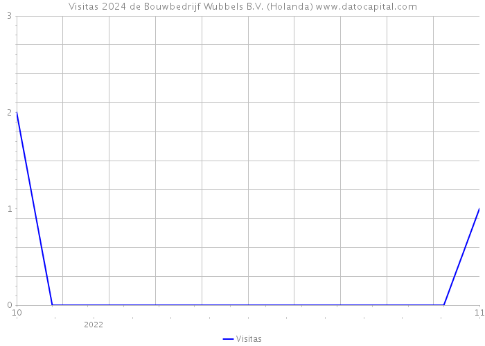 Visitas 2024 de Bouwbedrijf Wubbels B.V. (Holanda) 