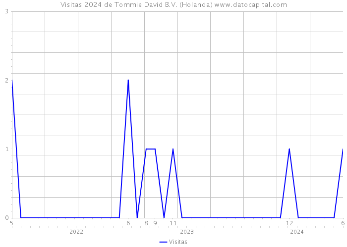 Visitas 2024 de Tommie David B.V. (Holanda) 