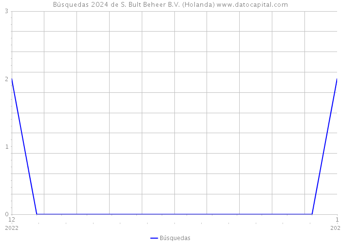 Búsquedas 2024 de S. Bult Beheer B.V. (Holanda) 