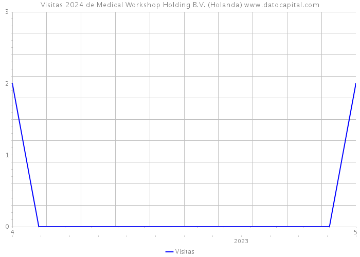 Visitas 2024 de Medical Workshop Holding B.V. (Holanda) 
