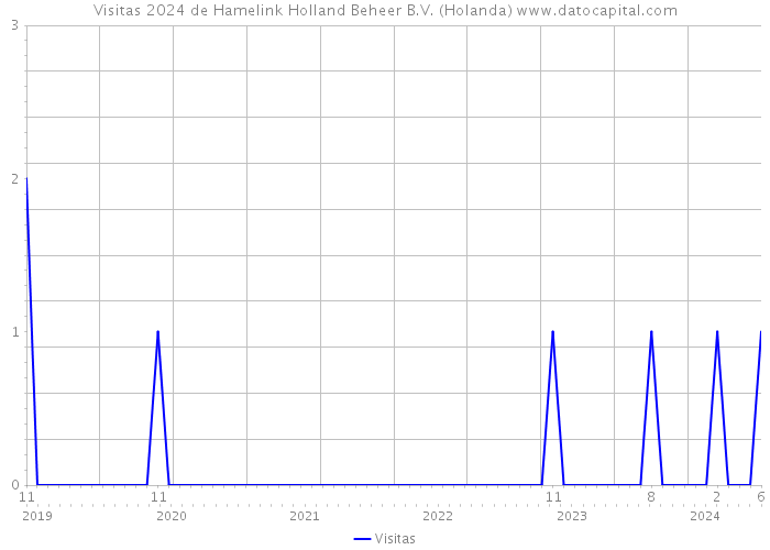 Visitas 2024 de Hamelink Holland Beheer B.V. (Holanda) 