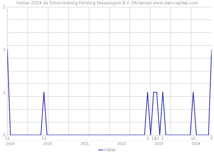 Visitas 2024 de Scherrenberg Holding Nieuwegein B.V. (Holanda) 