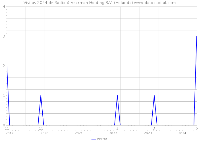 Visitas 2024 de Radix & Veerman Holding B.V. (Holanda) 