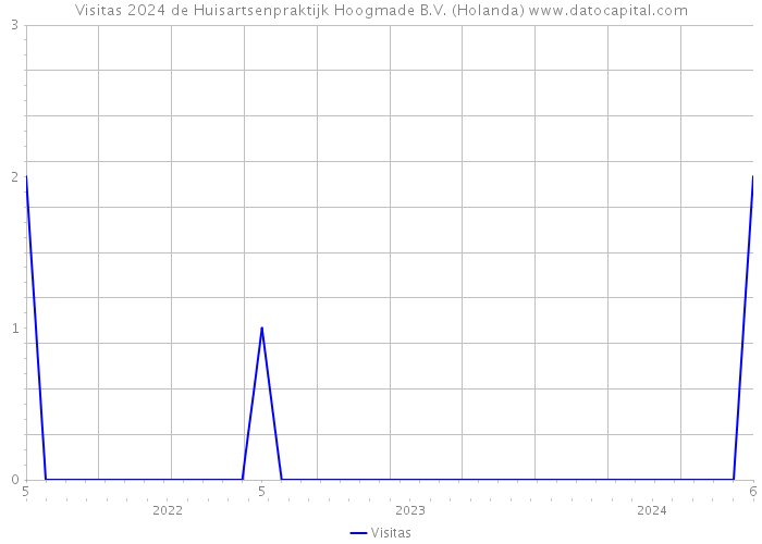 Visitas 2024 de Huisartsenpraktijk Hoogmade B.V. (Holanda) 