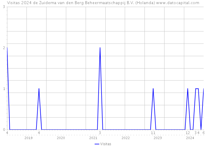Visitas 2024 de Zuidema van den Berg Beheermaatschappij B.V. (Holanda) 