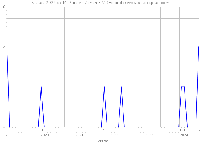 Visitas 2024 de M. Ruig en Zonen B.V. (Holanda) 