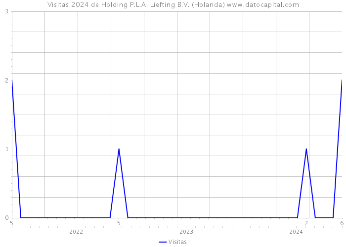 Visitas 2024 de Holding P.L.A. Liefting B.V. (Holanda) 