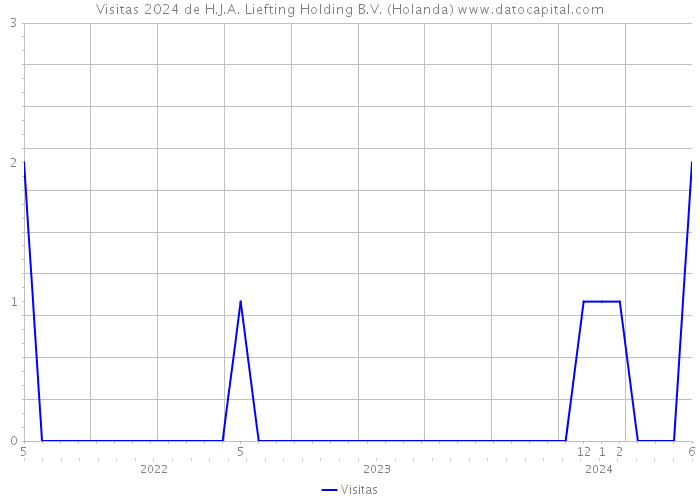 Visitas 2024 de H.J.A. Liefting Holding B.V. (Holanda) 
