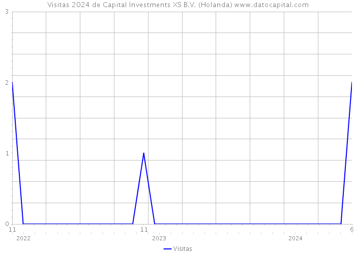 Visitas 2024 de Capital Investments XS B.V. (Holanda) 