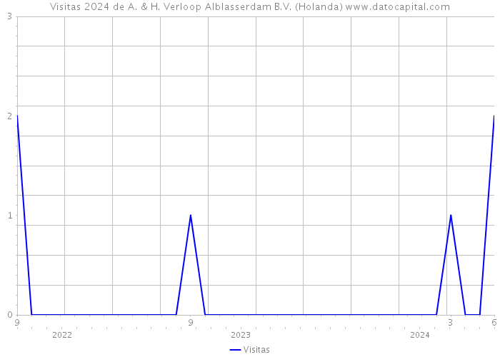 Visitas 2024 de A. & H. Verloop Alblasserdam B.V. (Holanda) 