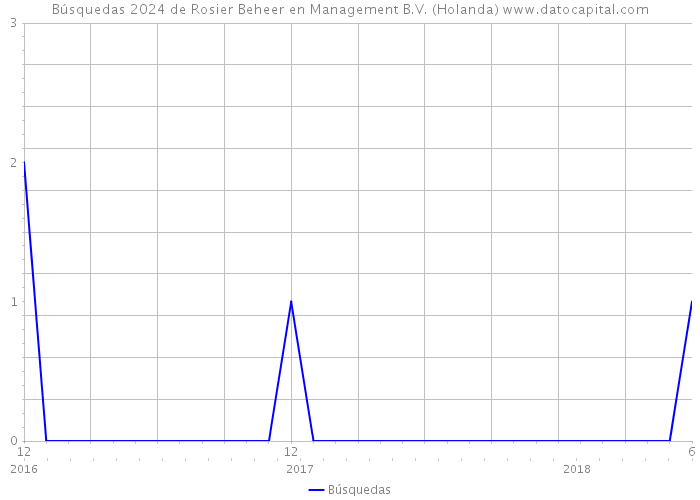 Búsquedas 2024 de Rosier Beheer en Management B.V. (Holanda) 