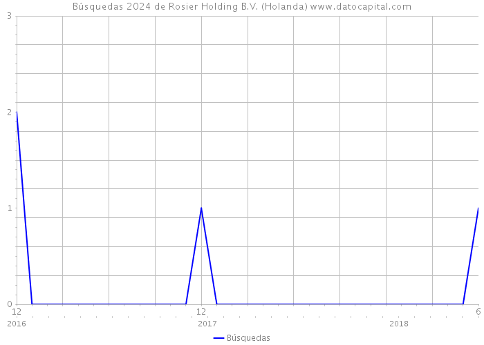 Búsquedas 2024 de Rosier Holding B.V. (Holanda) 