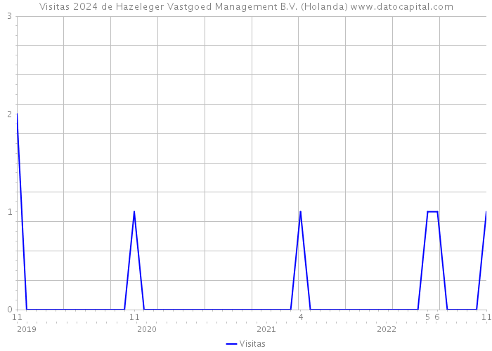 Visitas 2024 de Hazeleger Vastgoed Management B.V. (Holanda) 