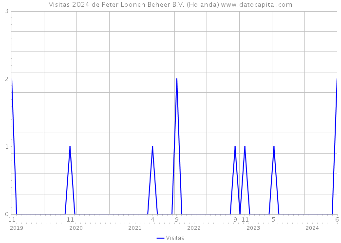 Visitas 2024 de Peter Loonen Beheer B.V. (Holanda) 