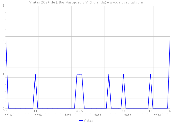 Visitas 2024 de J. Bos Vastgoed B.V. (Holanda) 