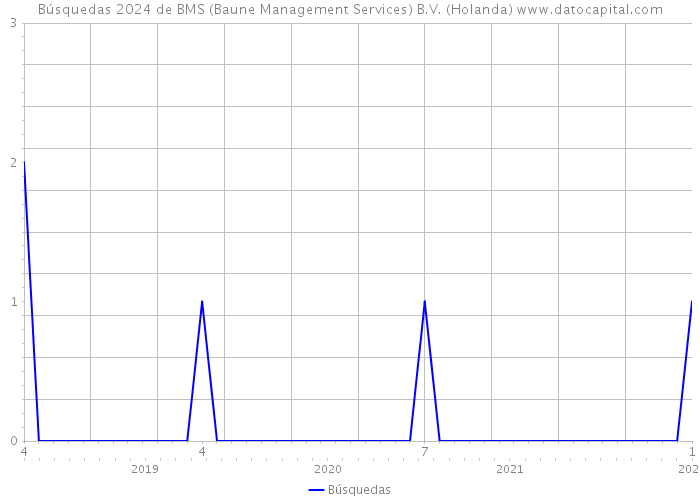 Búsquedas 2024 de BMS (Baune Management Services) B.V. (Holanda) 