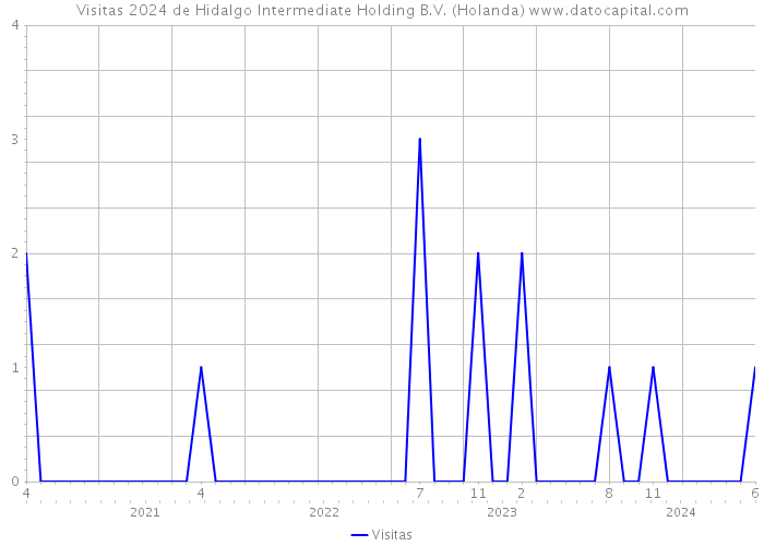 Visitas 2024 de Hidalgo Intermediate Holding B.V. (Holanda) 