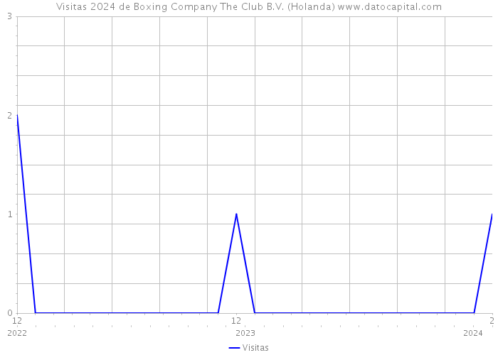 Visitas 2024 de Boxing Company The Club B.V. (Holanda) 