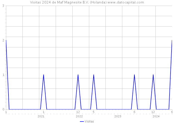 Visitas 2024 de Maf Magnesite B.V. (Holanda) 