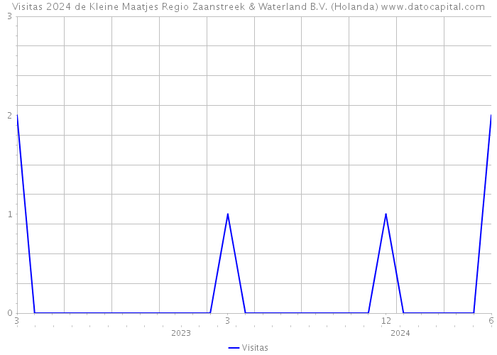 Visitas 2024 de Kleine Maatjes Regio Zaanstreek & Waterland B.V. (Holanda) 