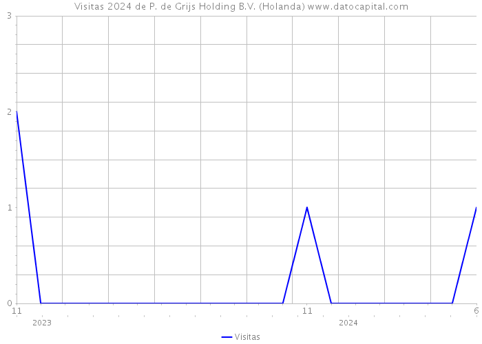 Visitas 2024 de P. de Grijs Holding B.V. (Holanda) 