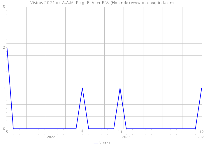 Visitas 2024 de A.A.M. Plegt Beheer B.V. (Holanda) 