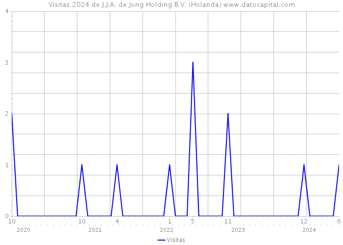 Visitas 2024 de J.J.A. de Jong Holding B.V. (Holanda) 